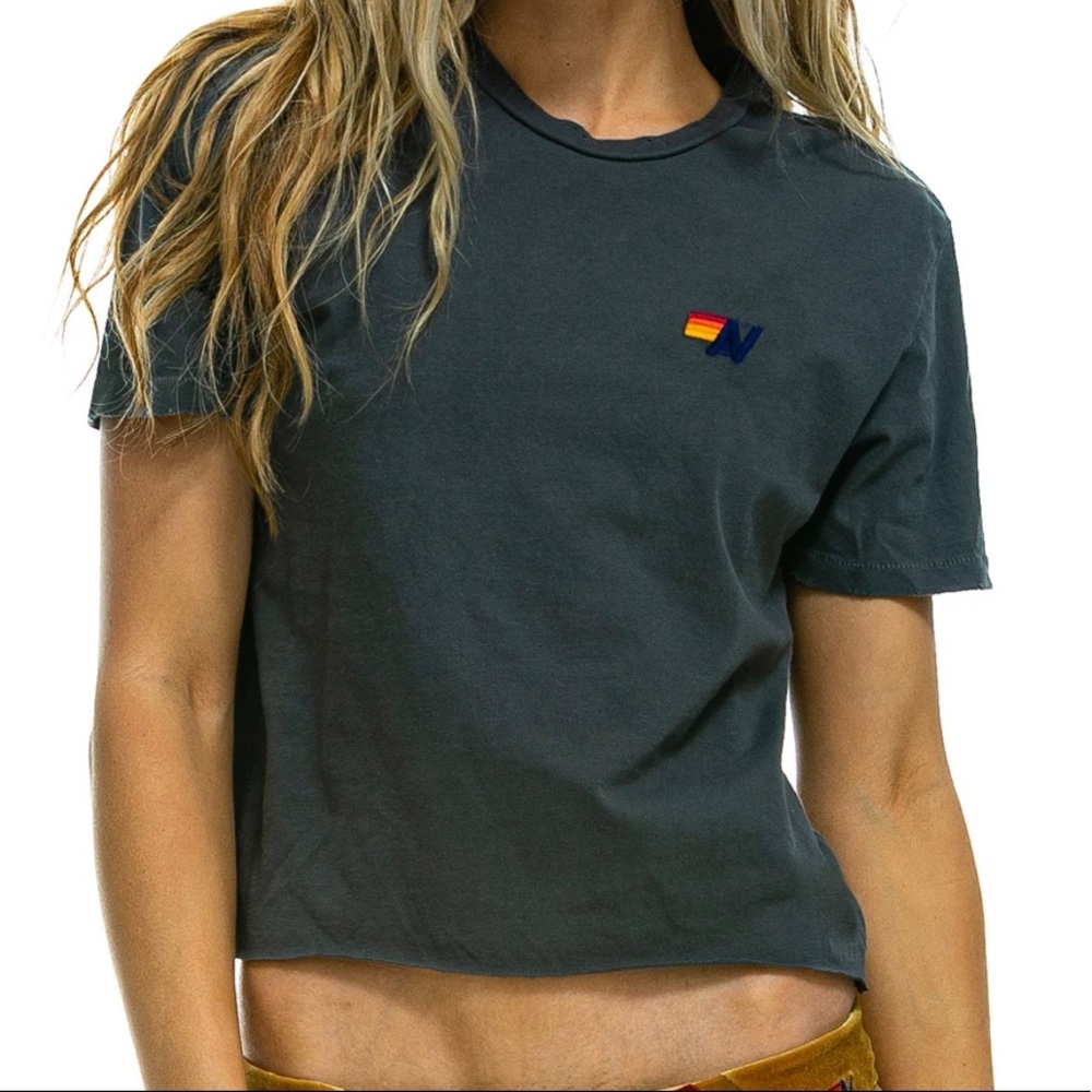 Aviator Nation Basic Boyfriend Tee in Charcoal